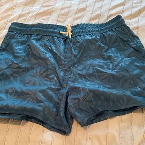 Men's Teal Palm-Print Swim Trunks with Contrast Drawstring